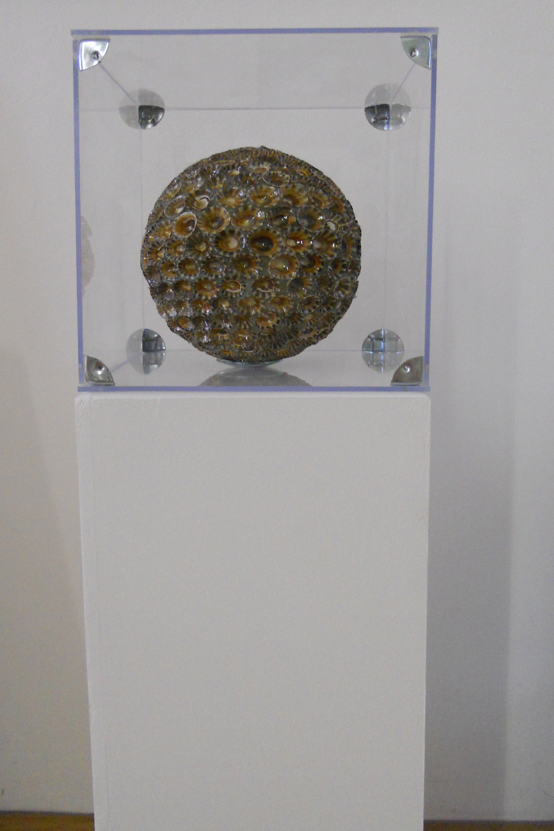 MW 03 (Hohe Aufl&ouml;sung)